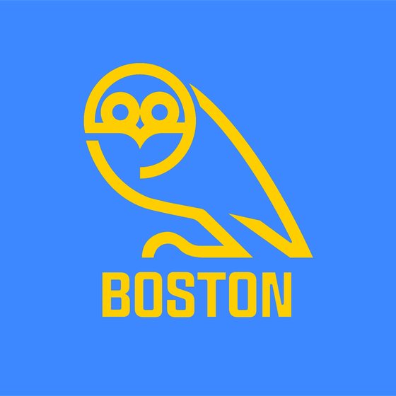 Boston Owls logo